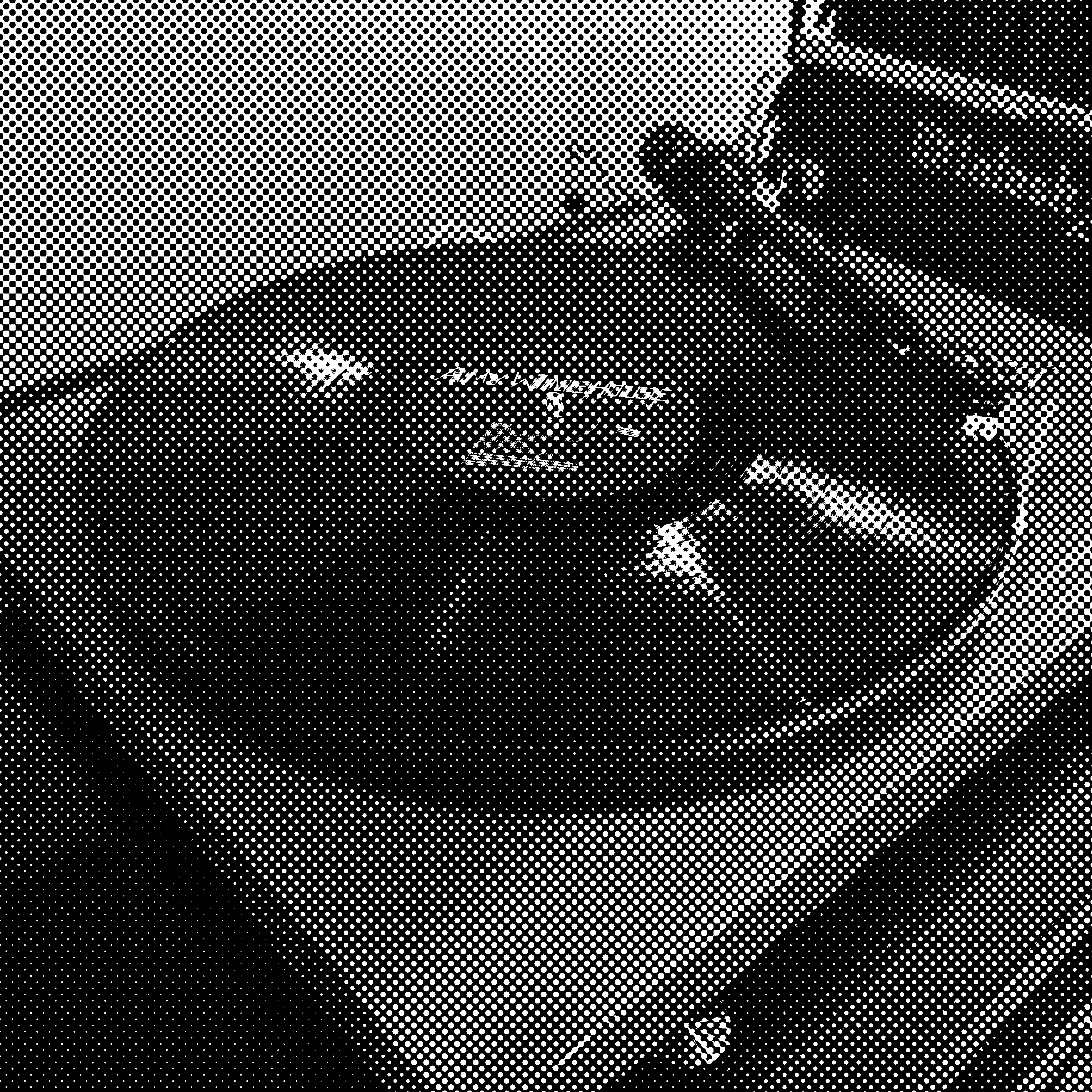 "Back to Black" by Amy Winehouse - Vinyl LP