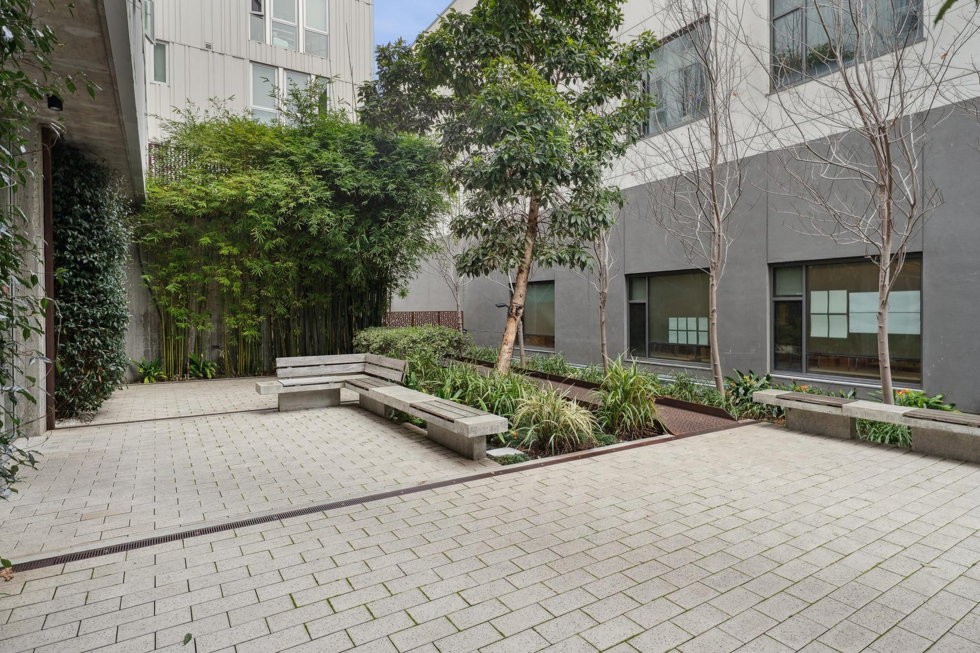 Shared courtyard with benches and plantings at 388 Fulton