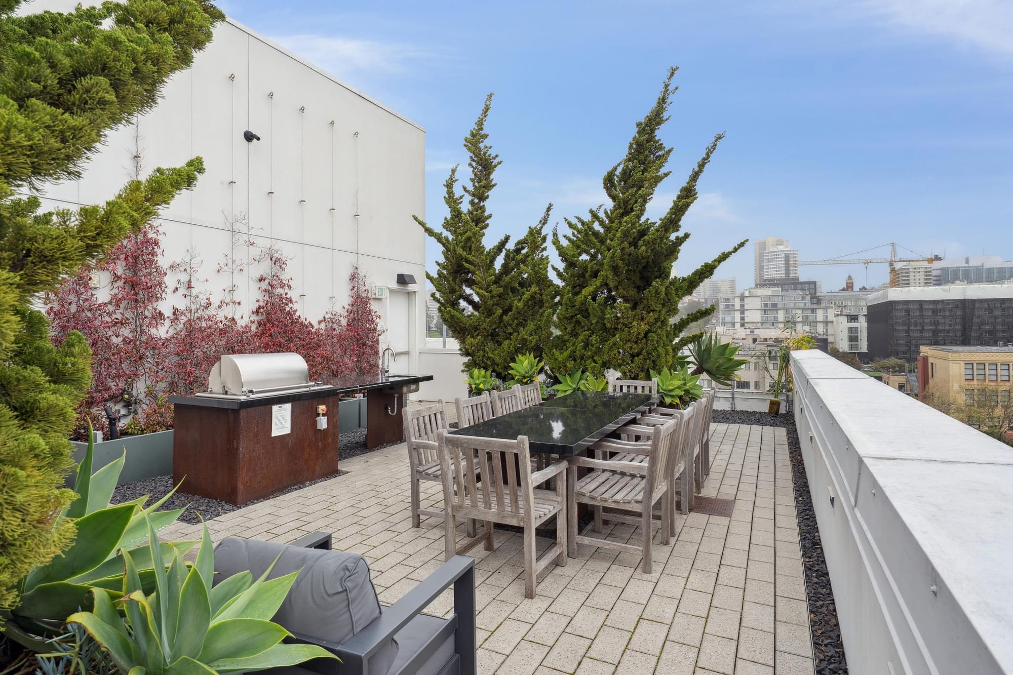 Rooftop BBQ and dining table at 388 Fulton
