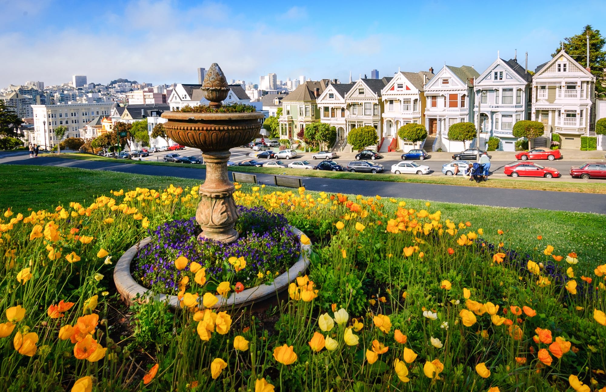 Poppies around the fountain in Alamo Square Park