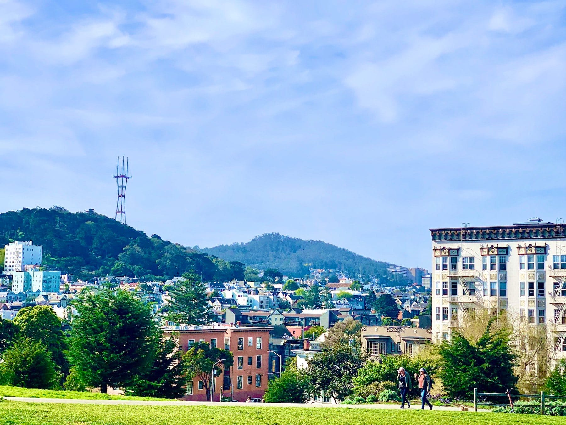 Lawn at Alamo Square Park with Sutro Tower in the distance