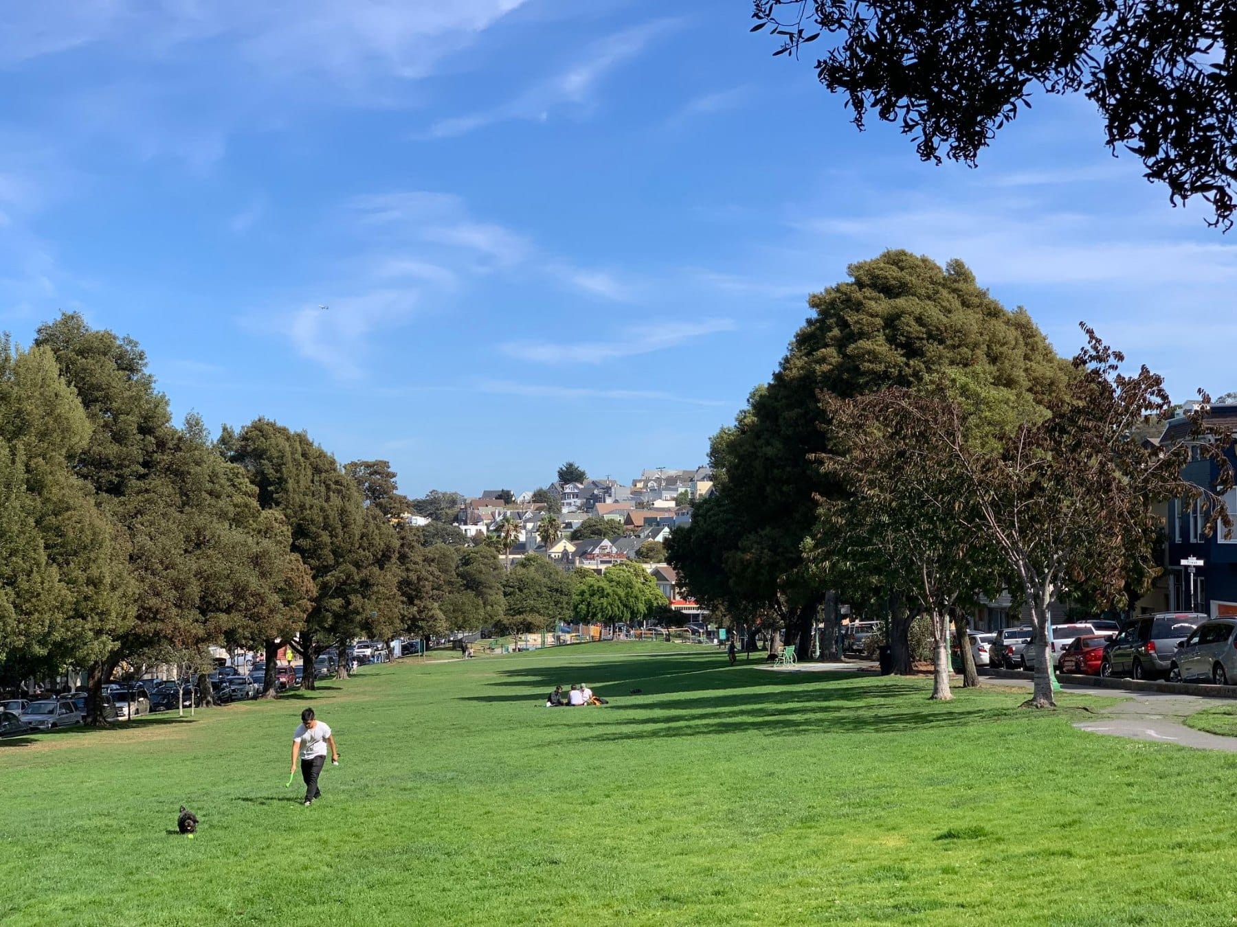 The lawn and trees of Precita Park in Bernal Heights