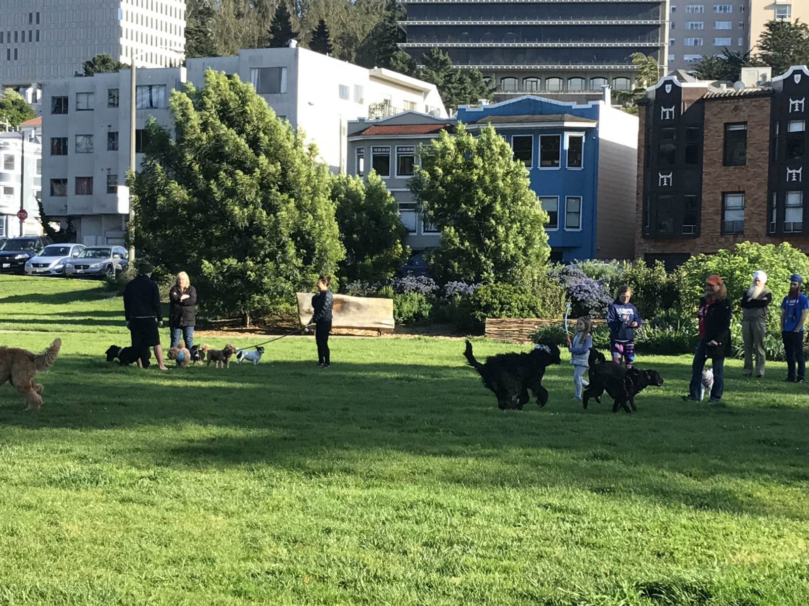 Grattan Playground in Cole Valley
