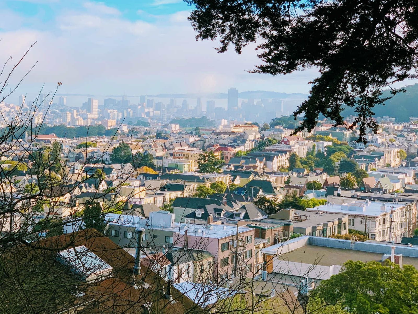 View across Cole Valley to downtown San Francisco from Parnassus
