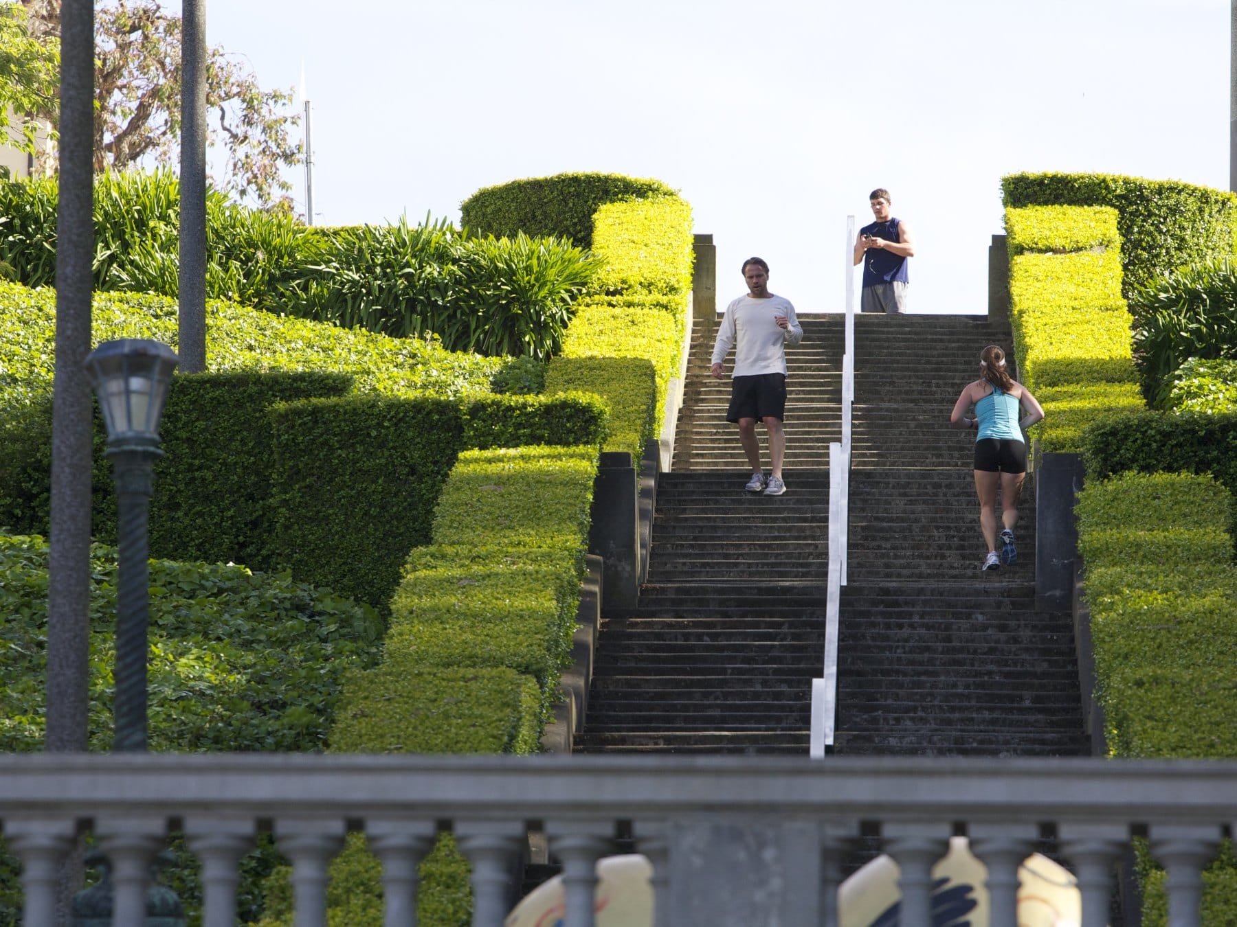 The Lyon Street Steps with clipped hedges