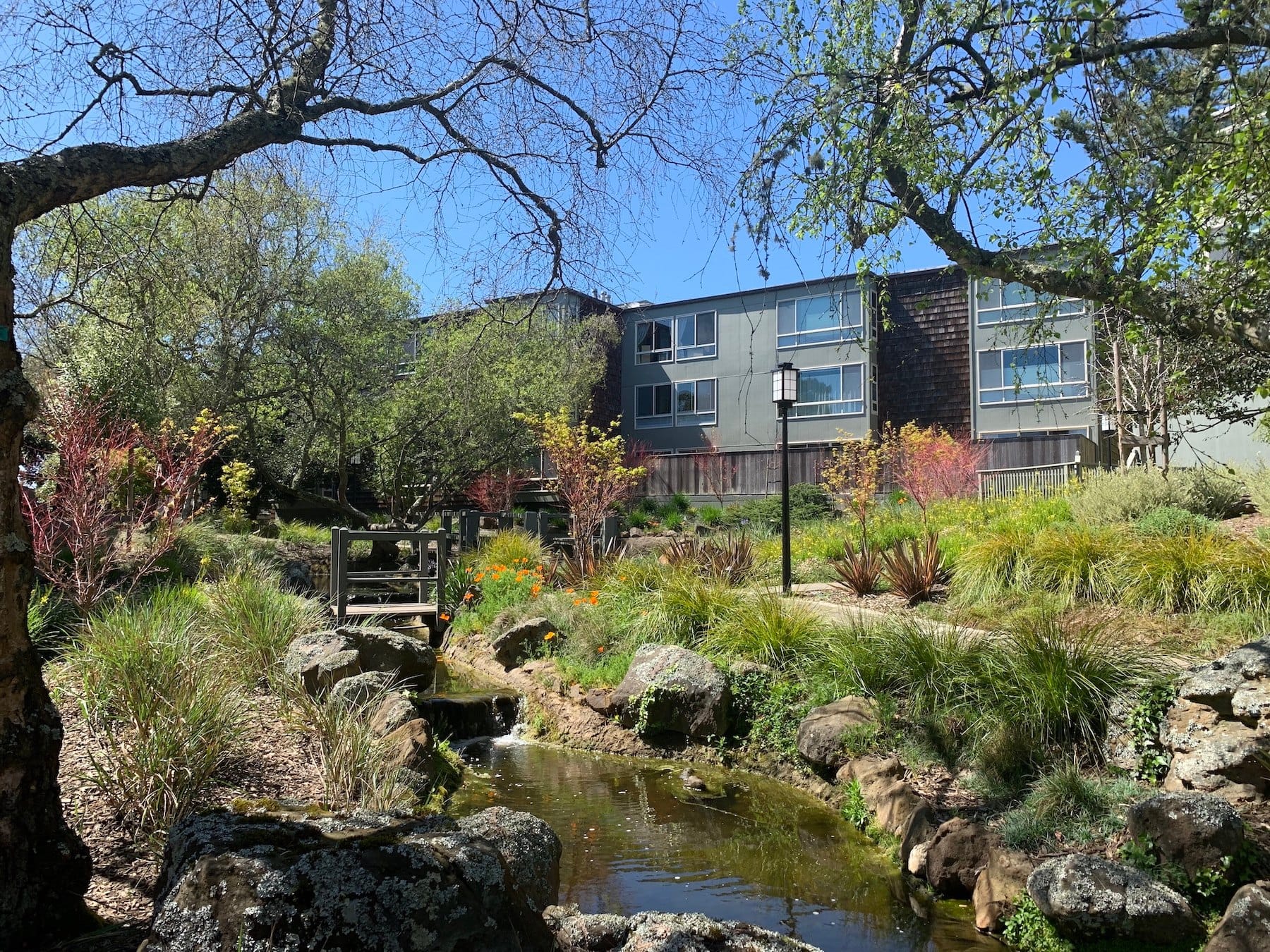 A landscaped garden with a stream between Diamond Heights condo buildings