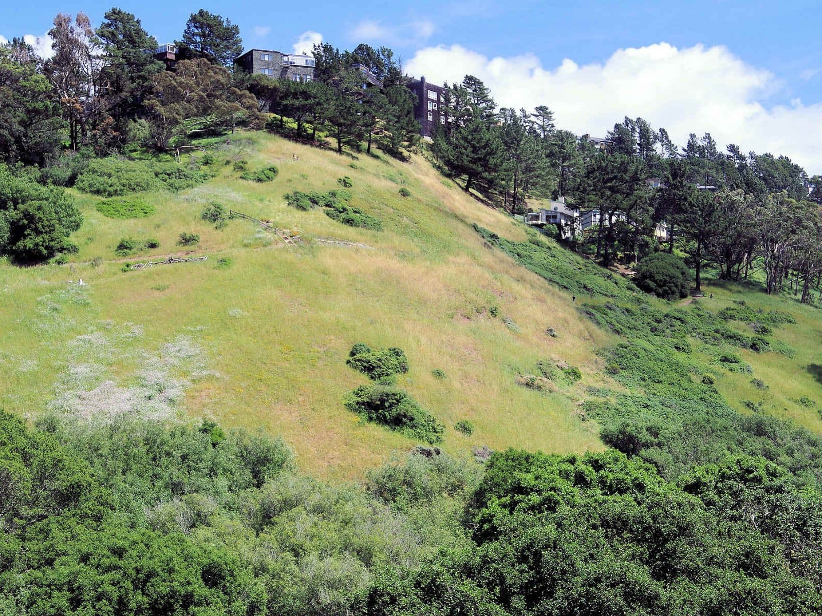 Green hillside and trails in Glen Canyon Park