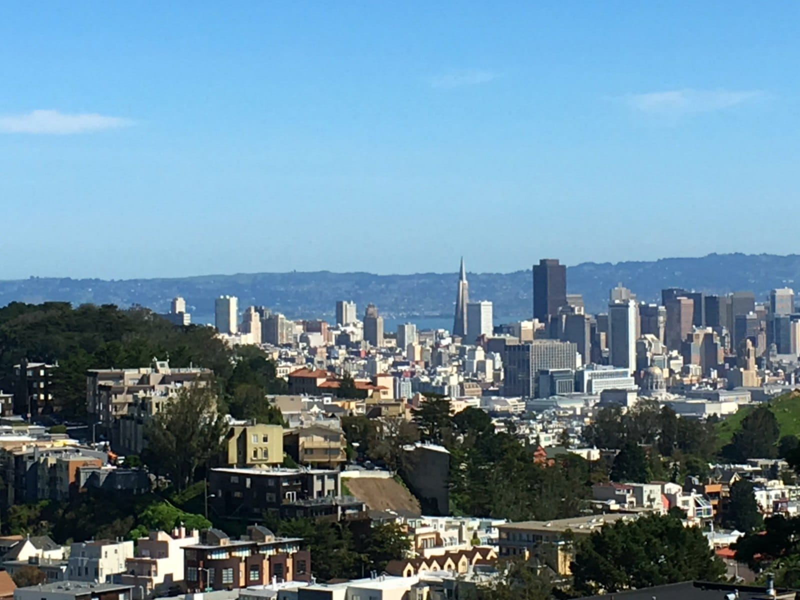 Downtown San Francisco skyline from Twin Peaks