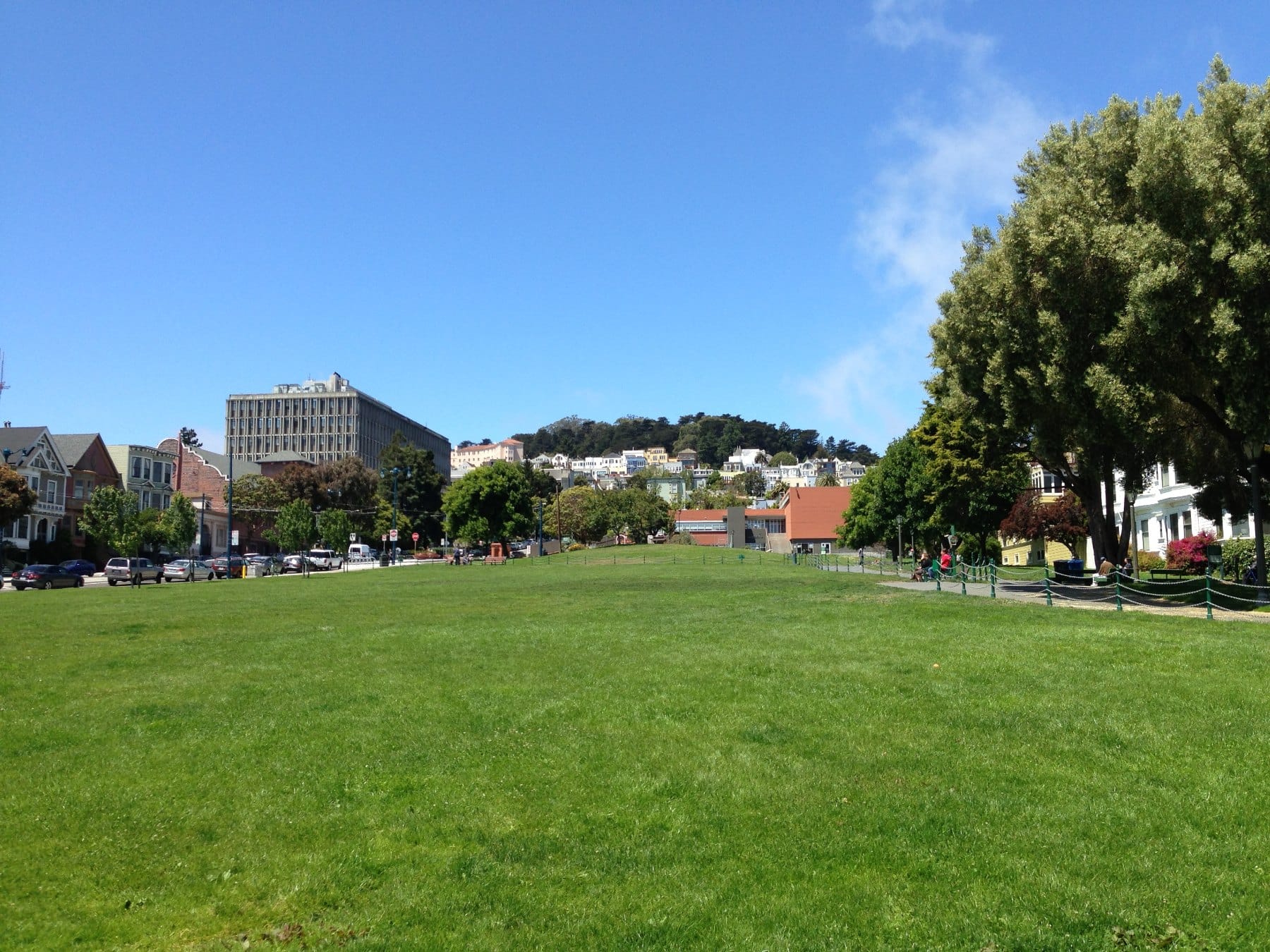 The lawn at Duboce Park