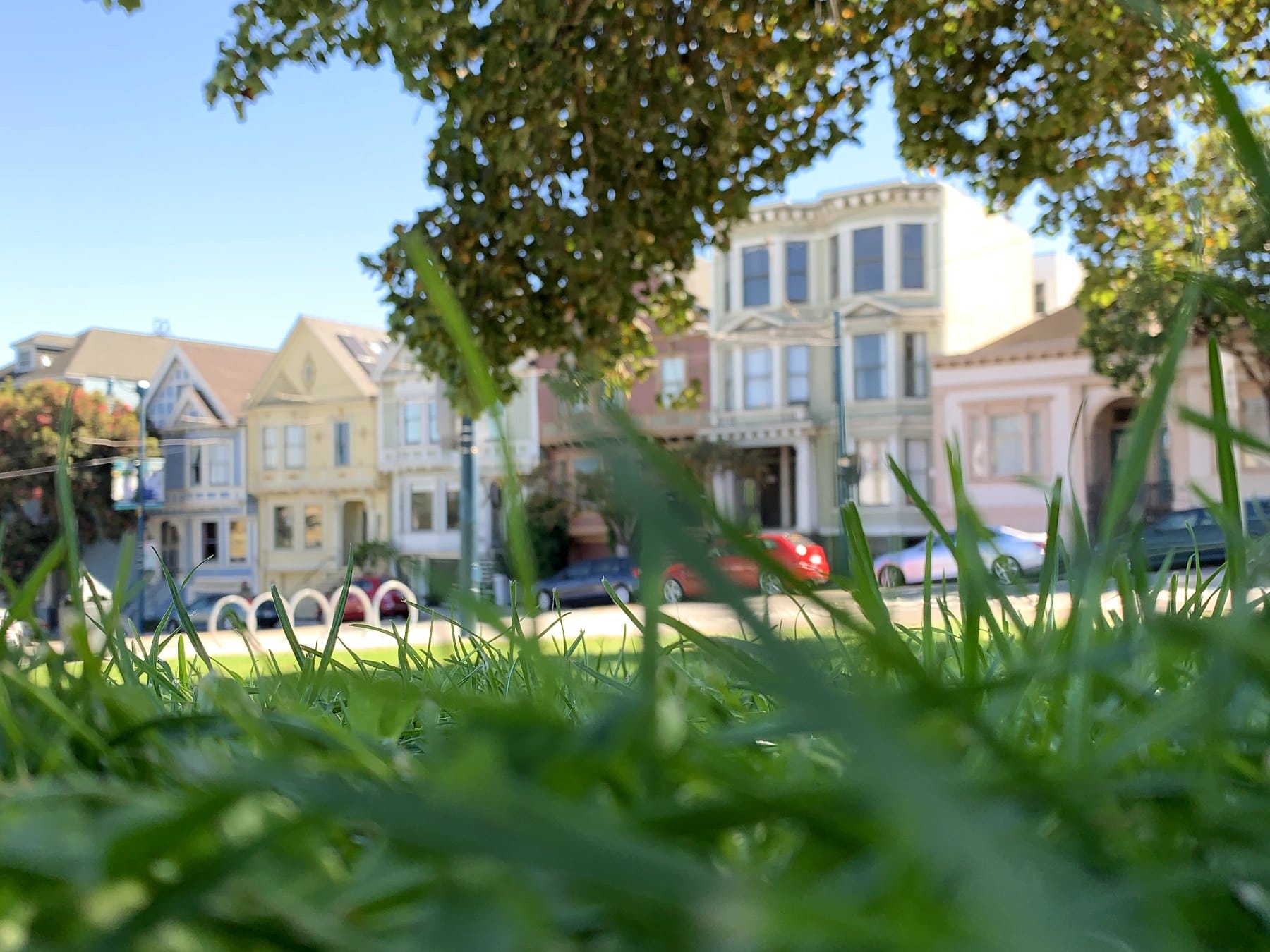 Victorian homes seen across the grass of Duboce Park