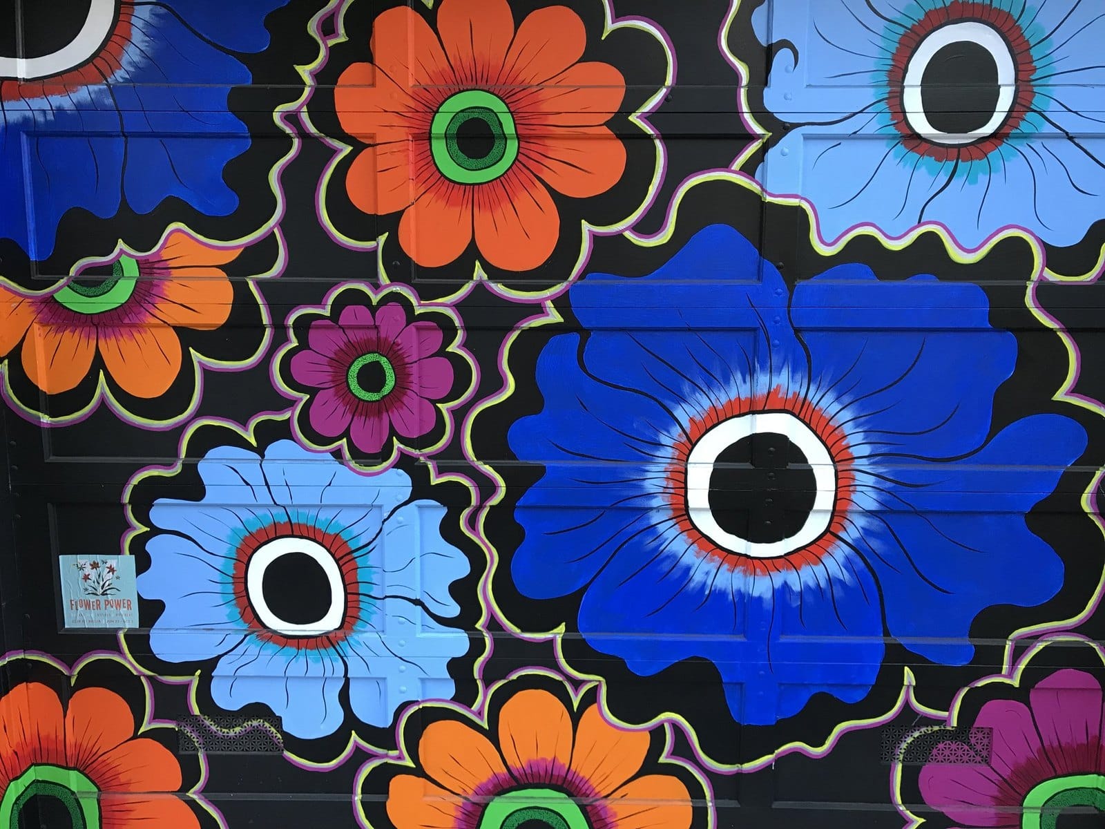 A bright flower mural on a Castro wall