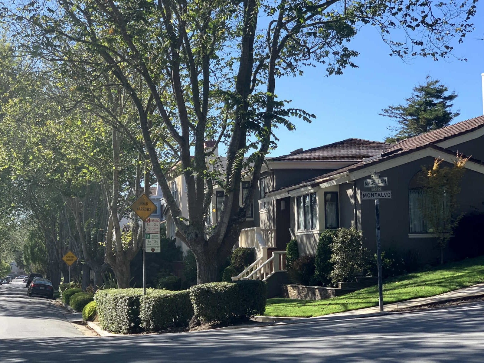 A curving tree-lined street in Forest Hill