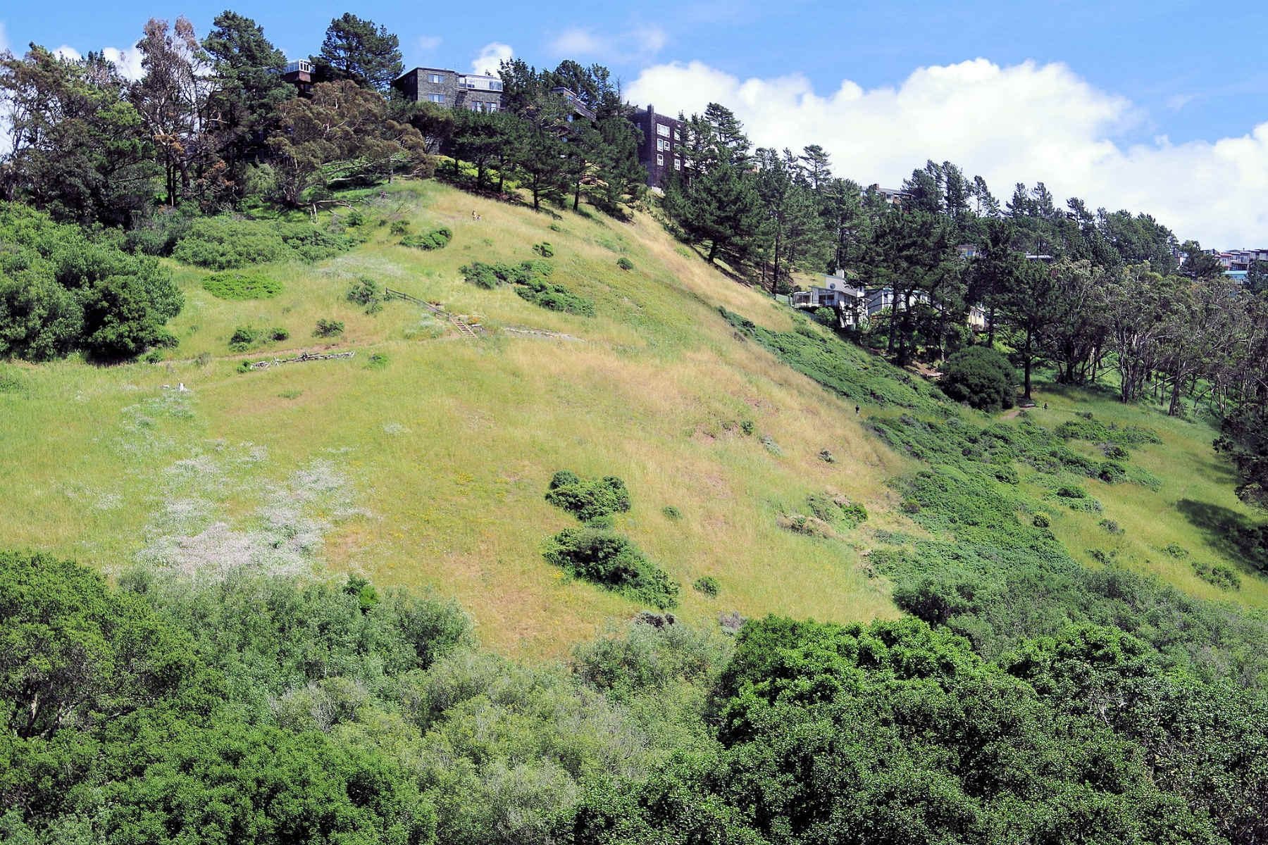 Grassy hillsides and rock outcrops in Glen Canyon Park