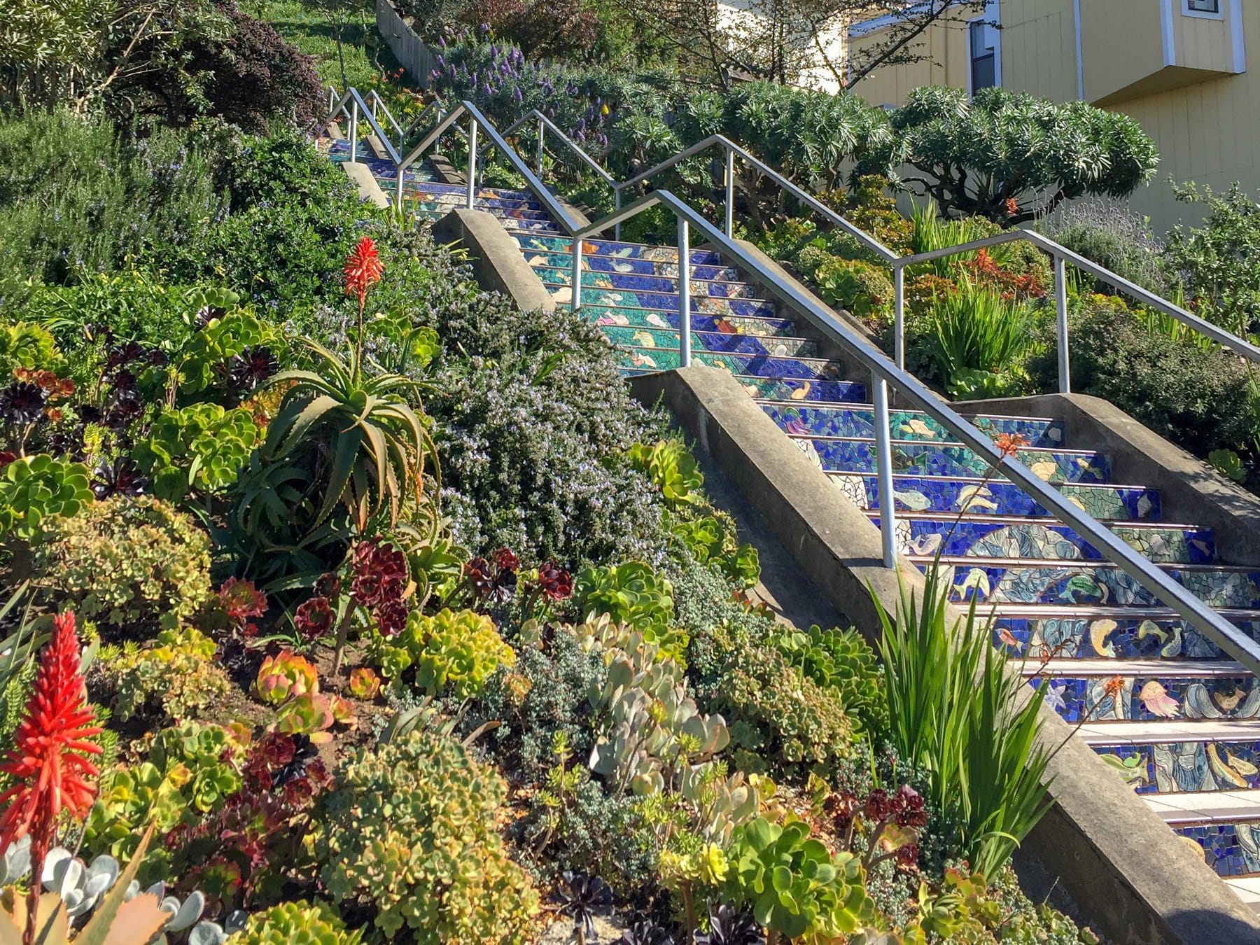 The 16th Avenue Tiled Steps in Golden Gate Heights