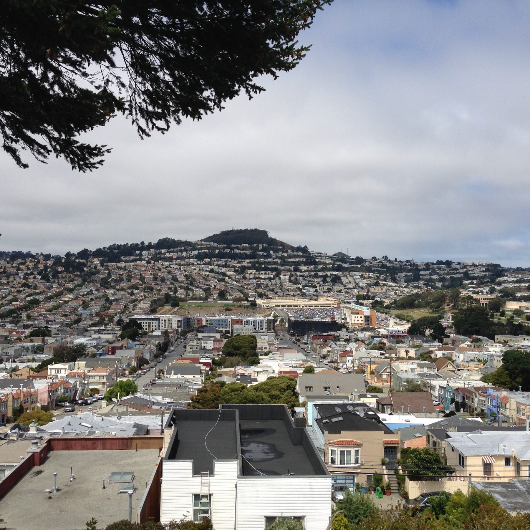 Rooftops of Ingleside seen from the Lakeview slope