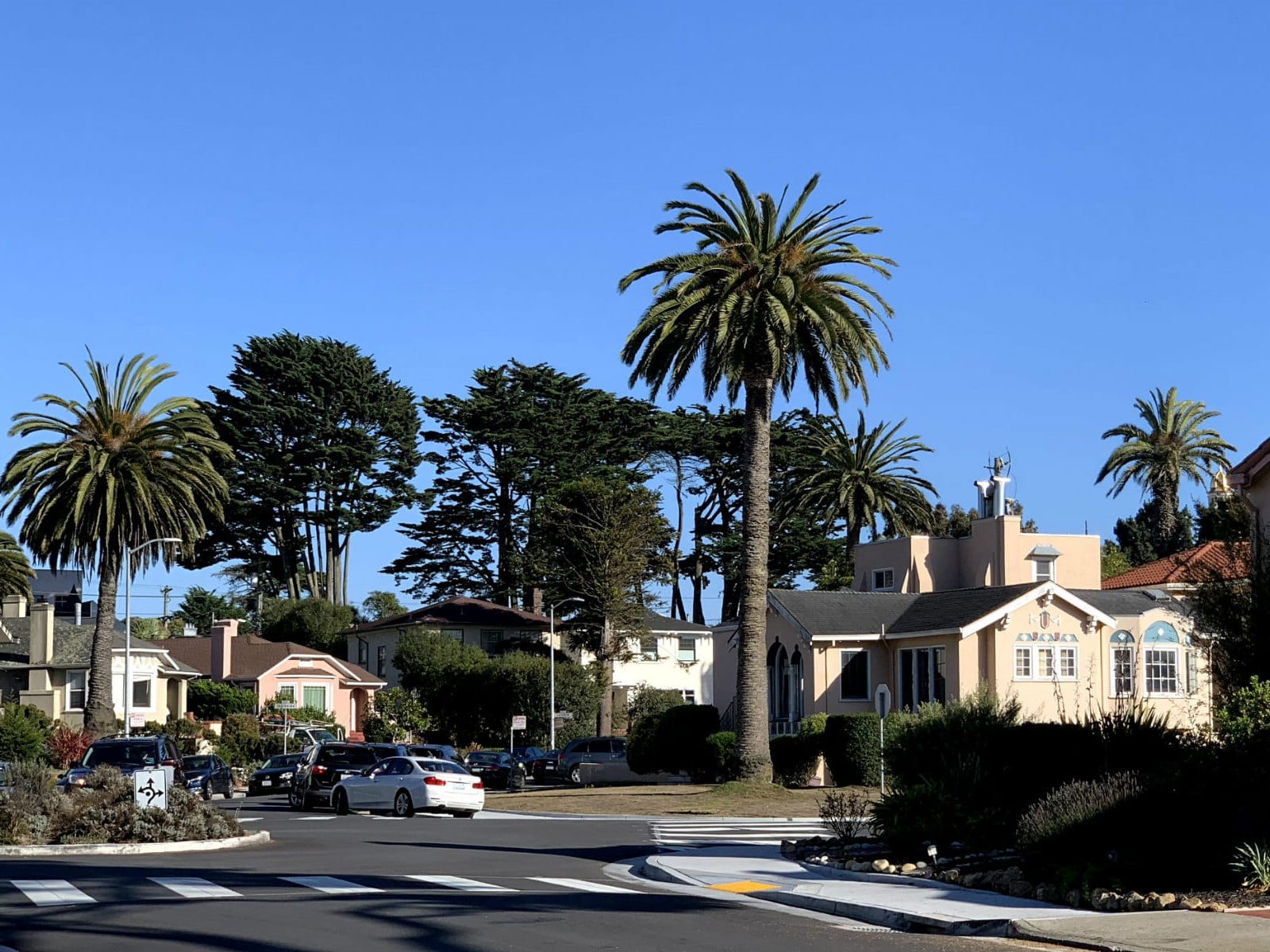 Tall palm trees above homes on an Ingleside Terraces street
