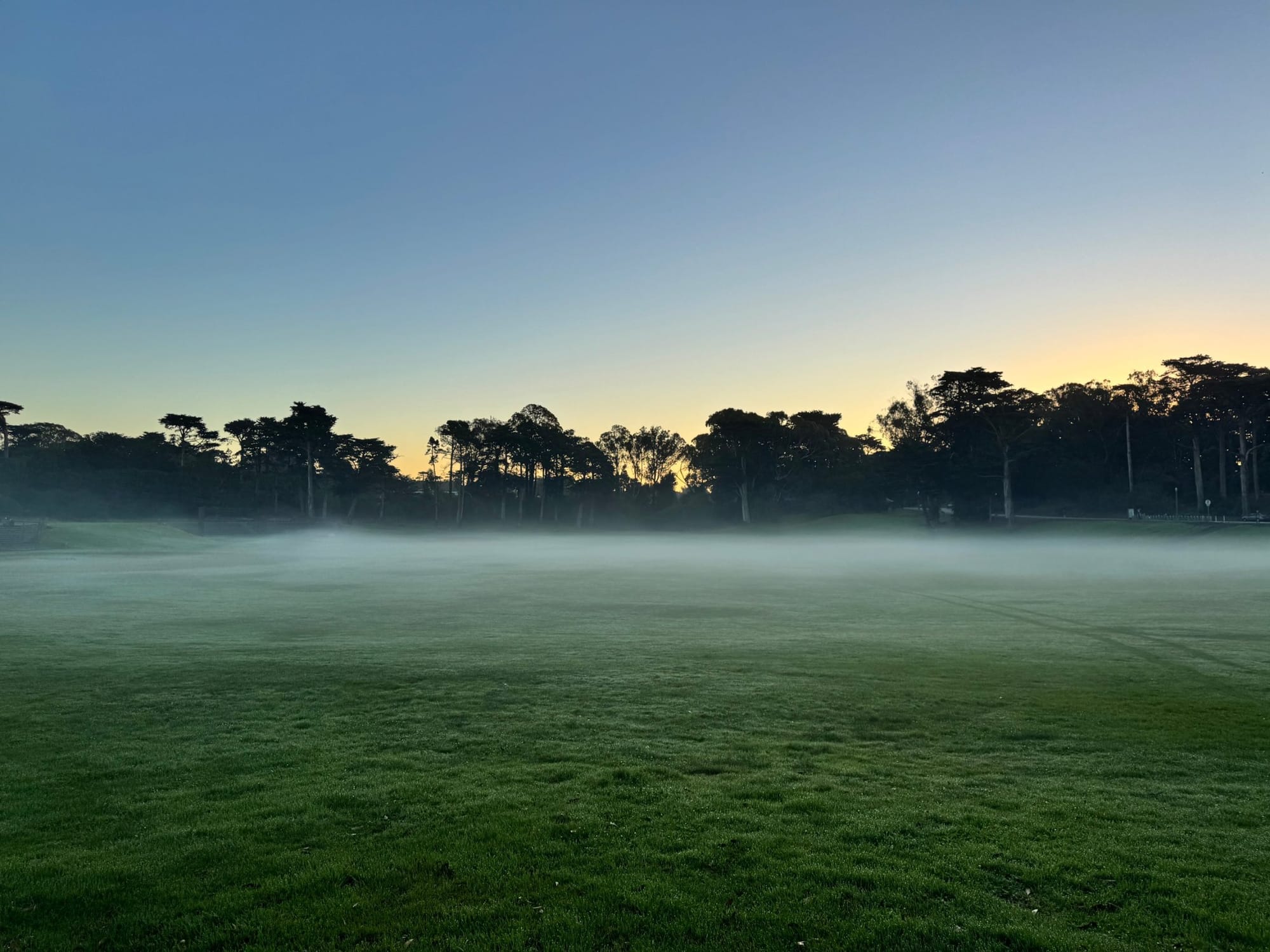 Morning fog over the Big Rec ballfield in Golden Gate Park at dawn