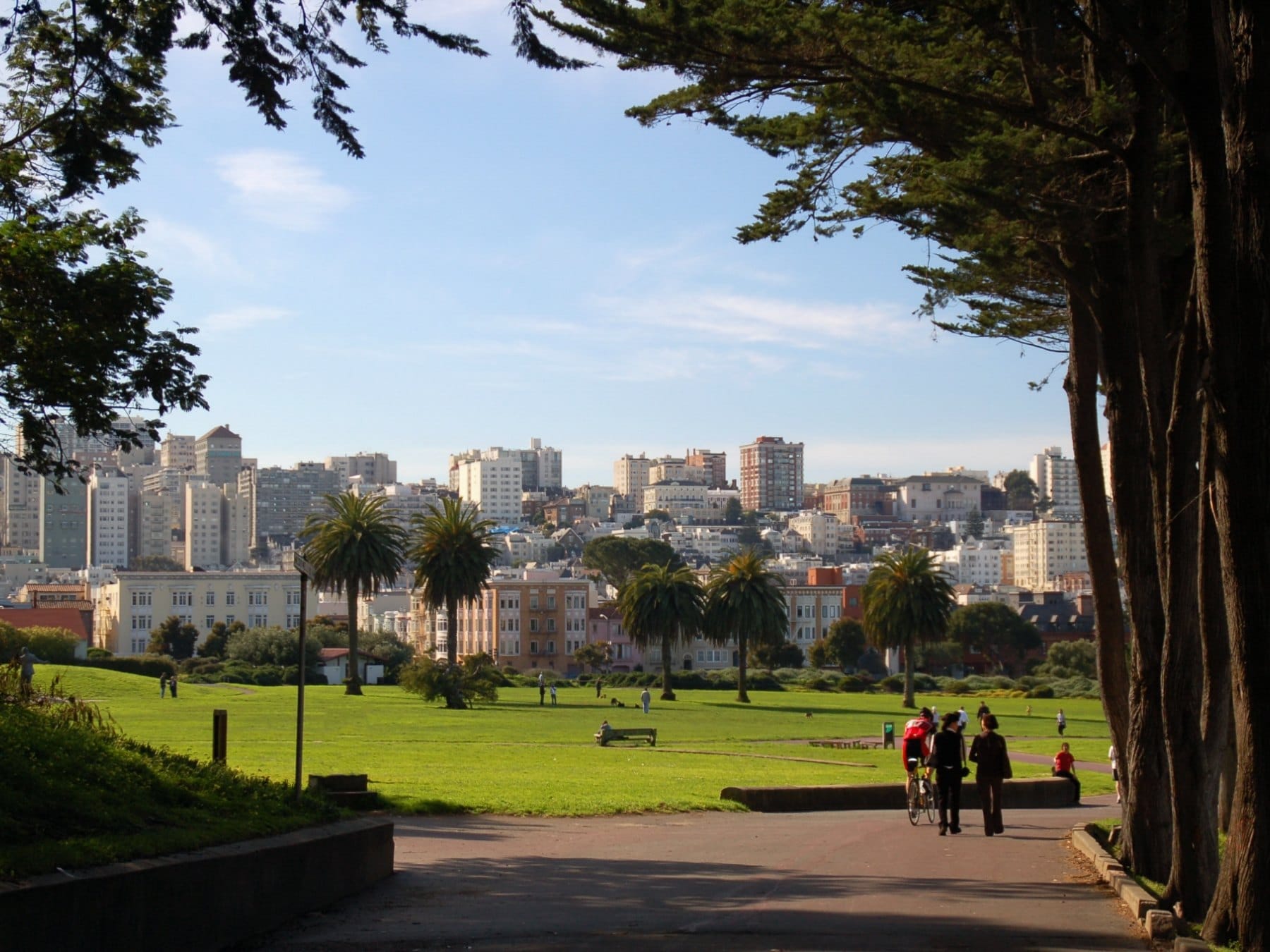 A path through the Great Meadow at Fort Mason with the city beyond
