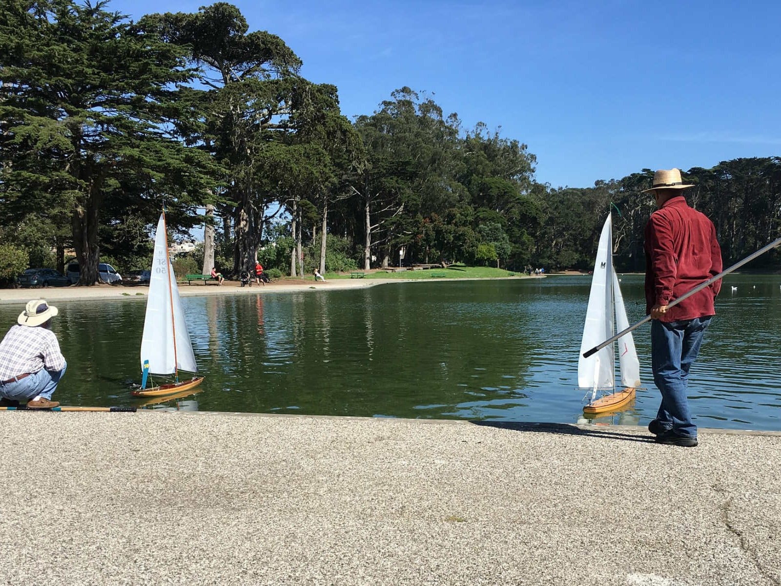 Model sailboats on Spreckels Lake in Golden Gate Park
