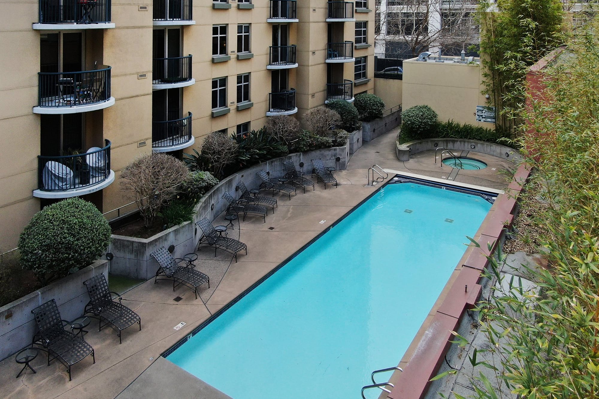 The pool, spa and bamboo plantings in the courtyard