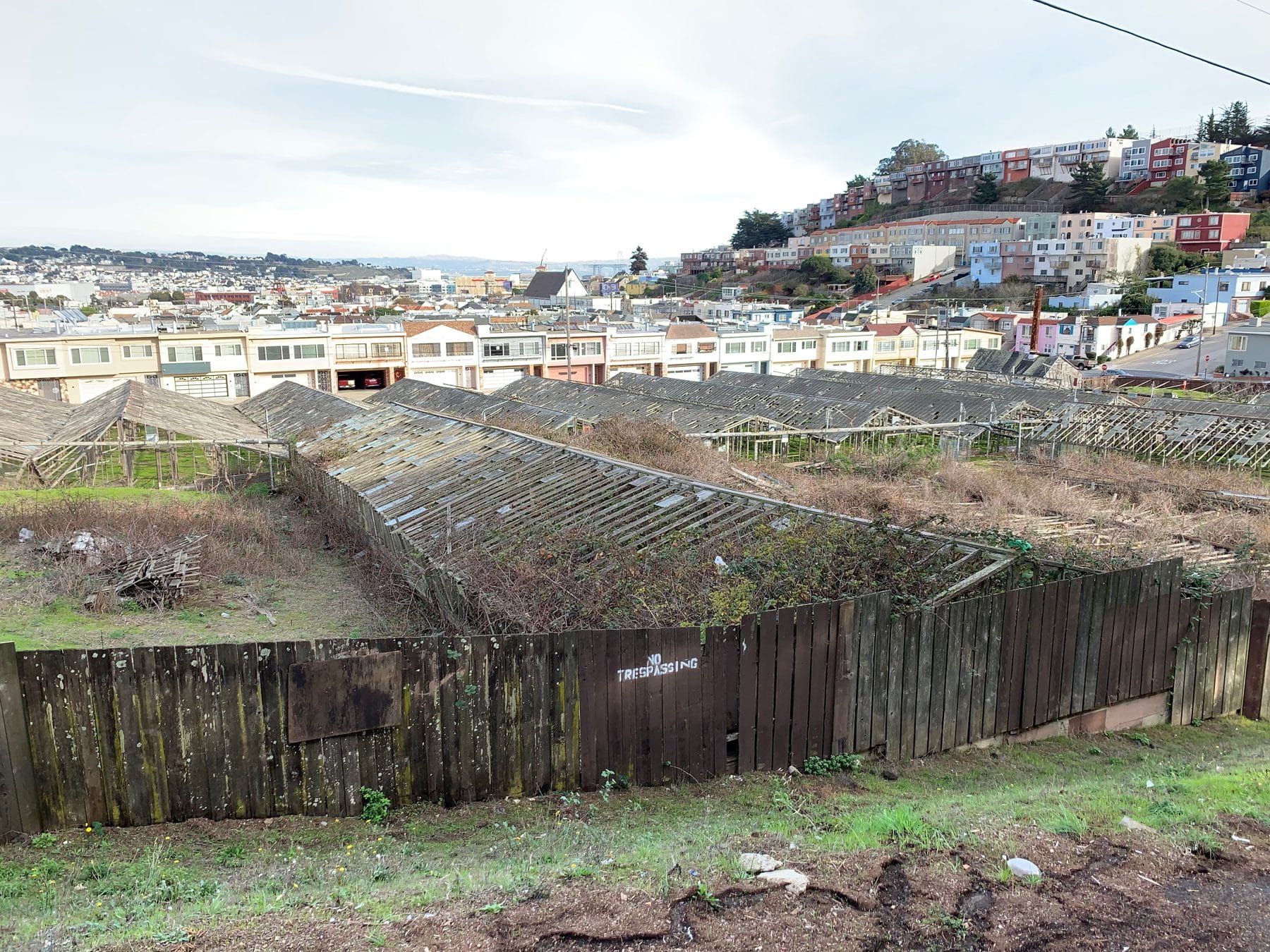 Old greenhouse frames below a hillside of houses in the Portola