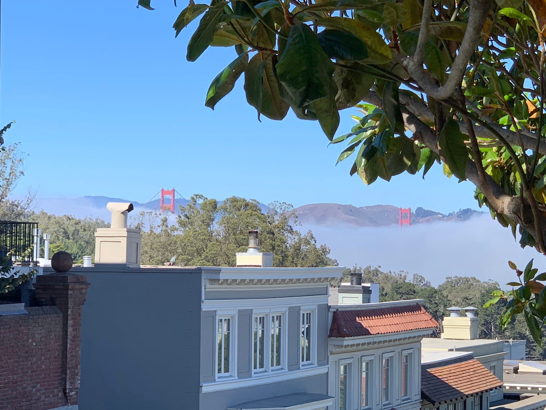 Golden Gate Bridge tower in fog above Presidio Heights rooftops