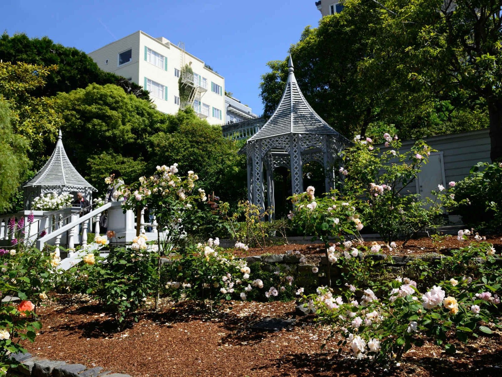 Fay Park garden on Russian Hill
