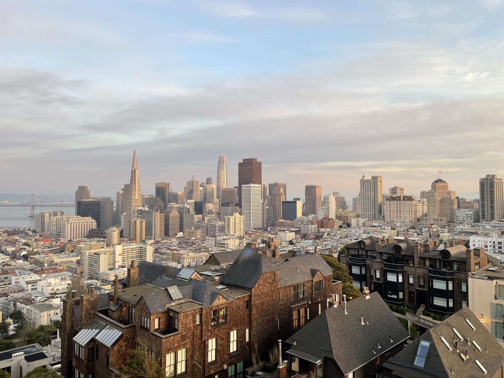 Downtown San Francisco and the Transamerica Pyramid from The Summit
