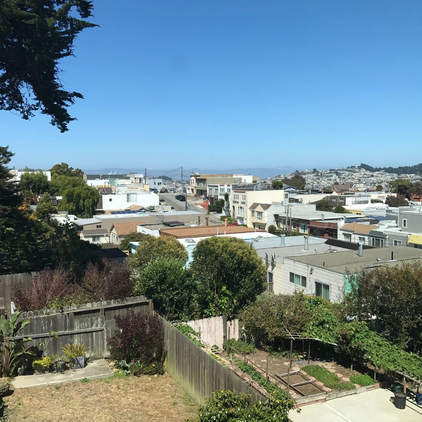 Backyard gardens and rooftops on the OMI hillside