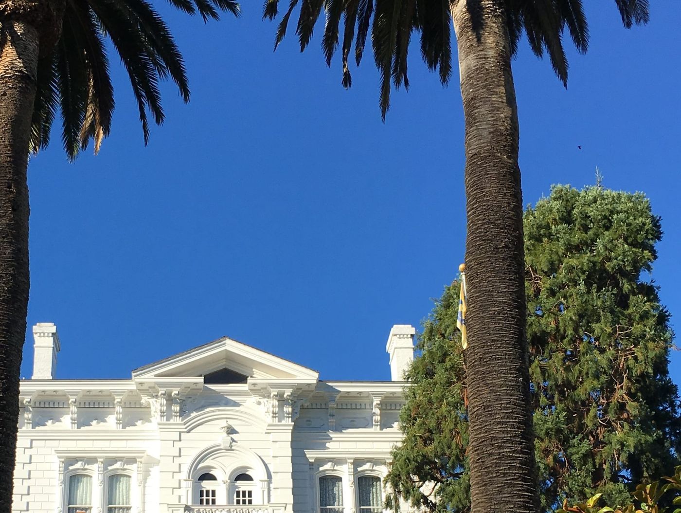 Palm trees and an Italianate roofline against a blue Pacific Heights sky