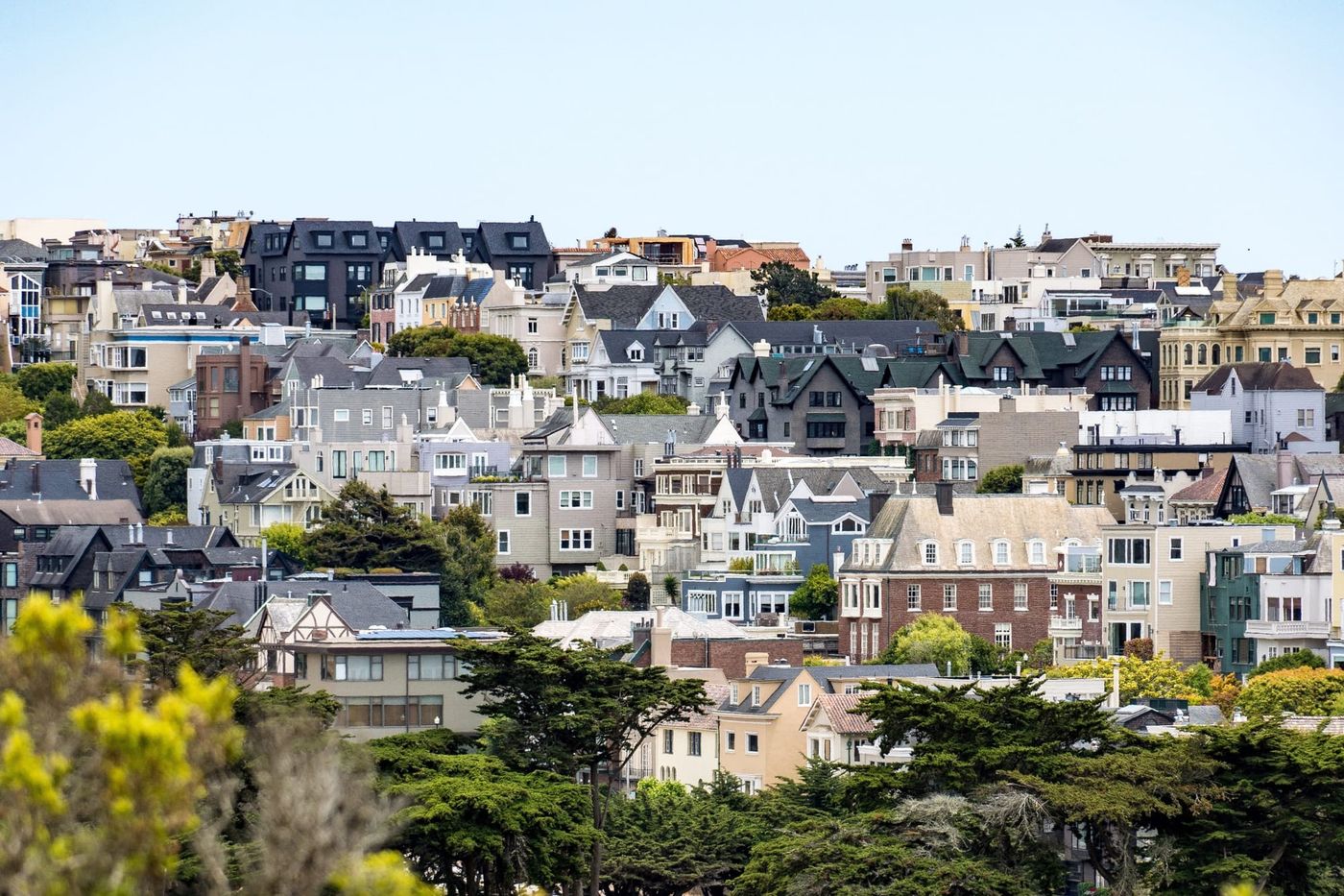 Presidio Heights homes seen across the treetops from the Presidio