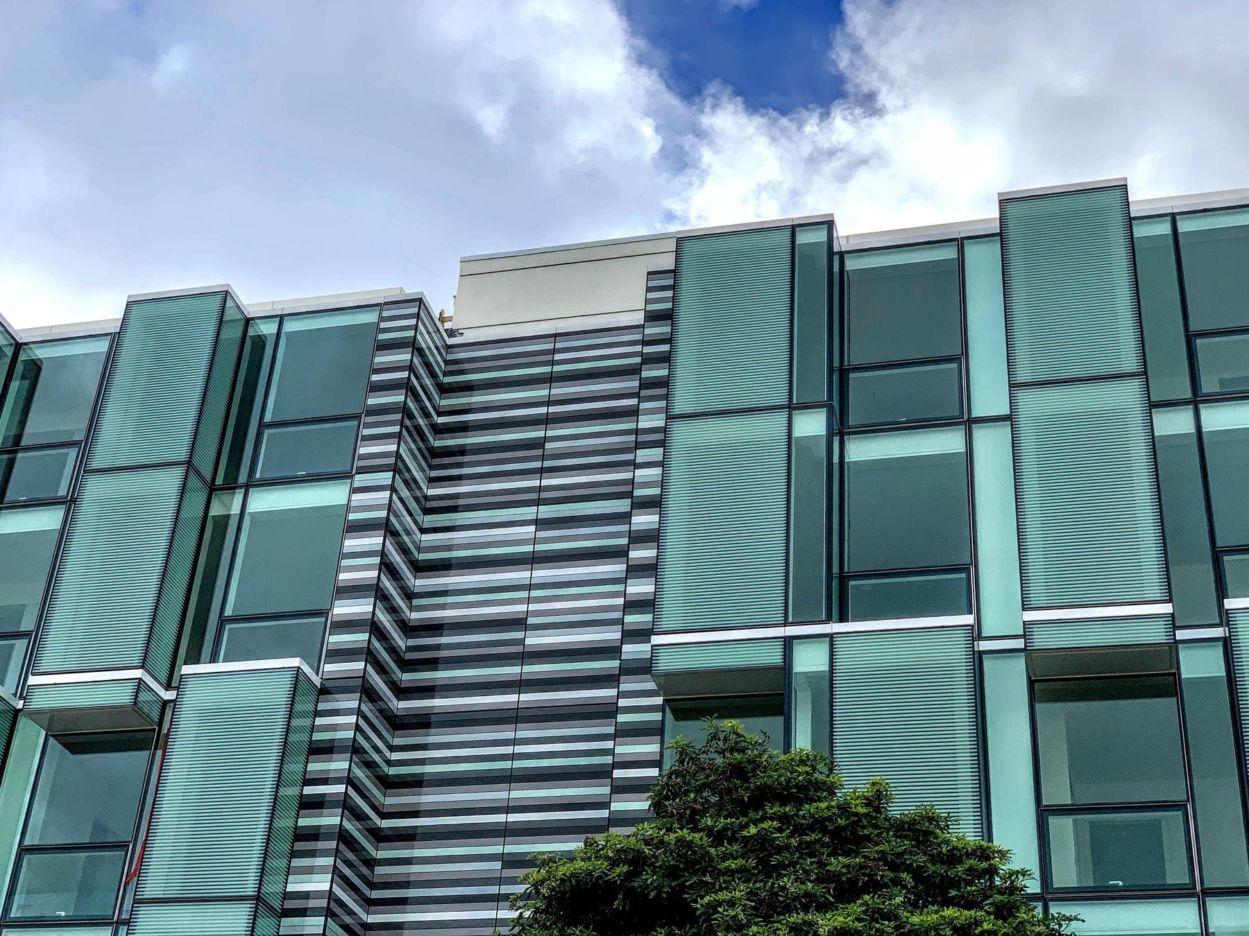 The modern facade of 555 Fulton in Hayes Valley