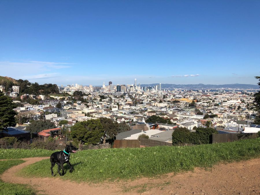 View toward downtown San Francisco from Seward Mini Park near Corona Heights