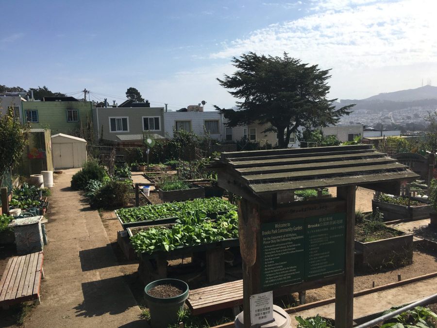 Raised beds in a community garden on the Merced Heights ridge, with houses and San Bruno Mountain beyond