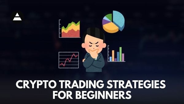 Crypto Trading Strategies for Beginners