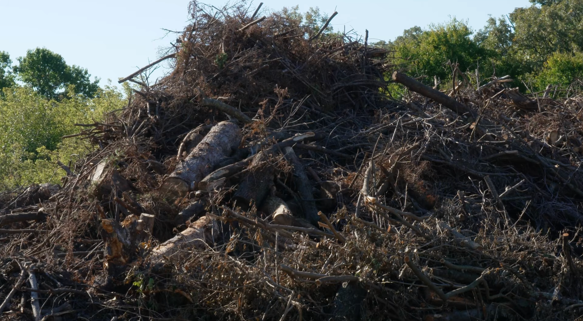 Cook County commits $8 million to clear debris from August storms