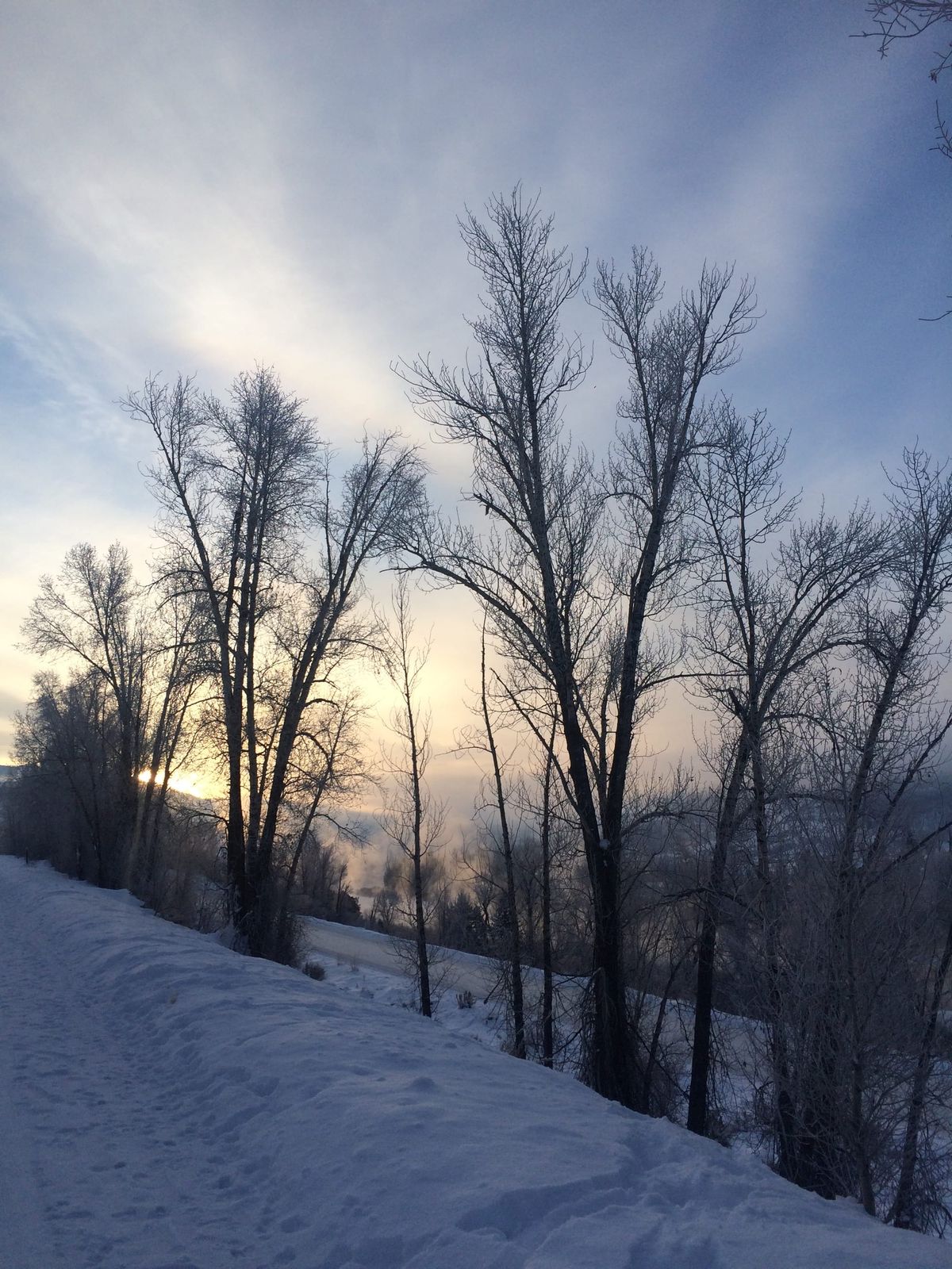 The Five Senses of Christmas