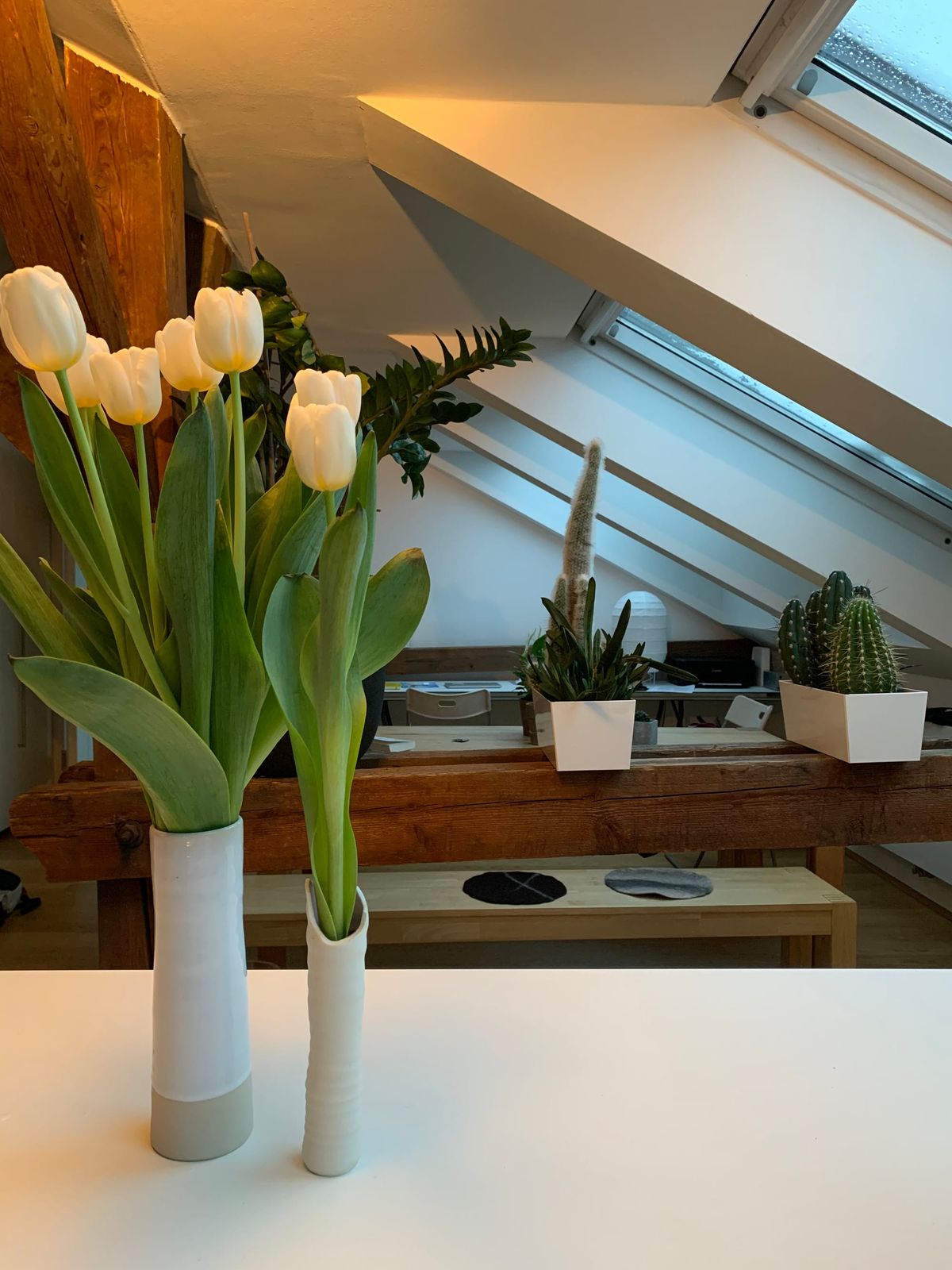 Life Playing out in Metaphor