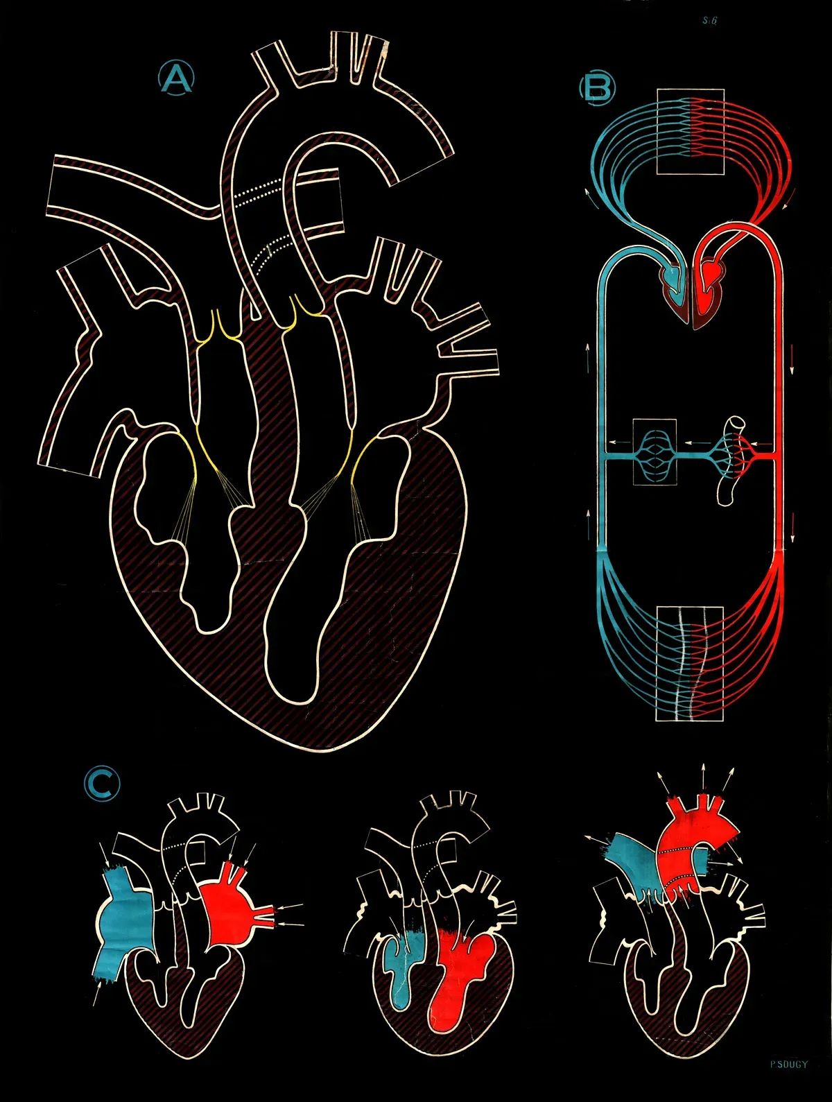 Why Do Bodies Break?