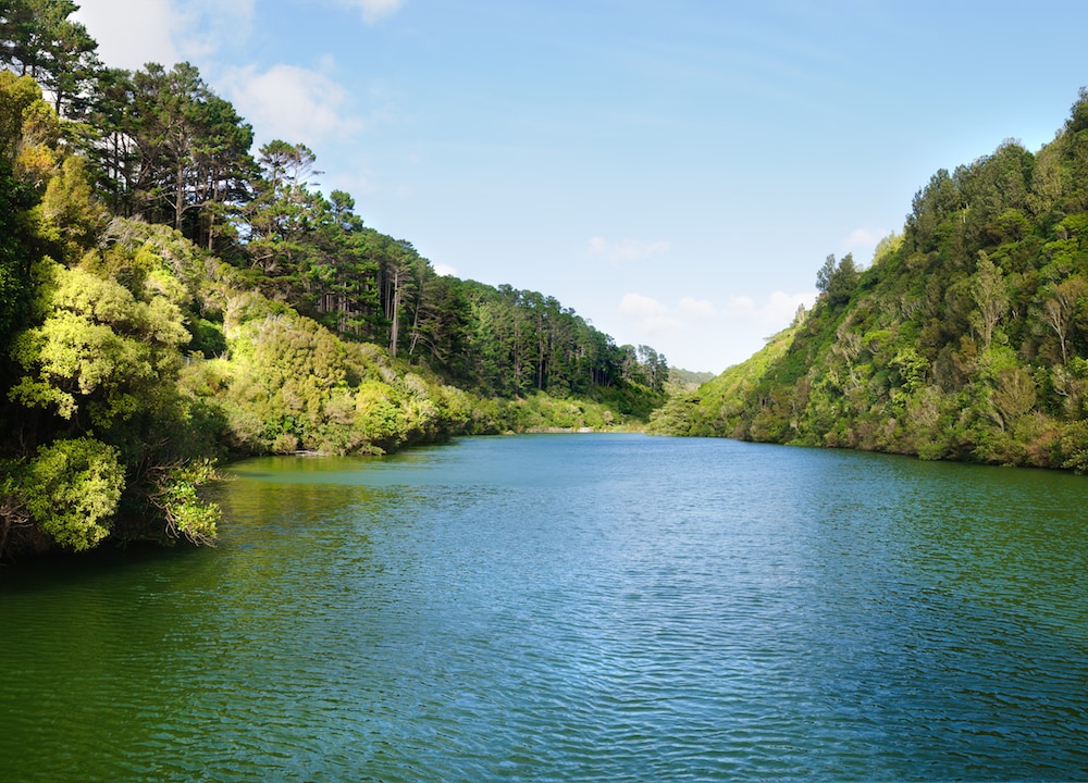 This is photo of Zealandia in New Zealand