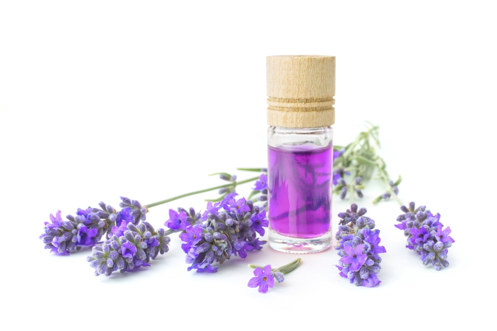 This is a photo of some lavender