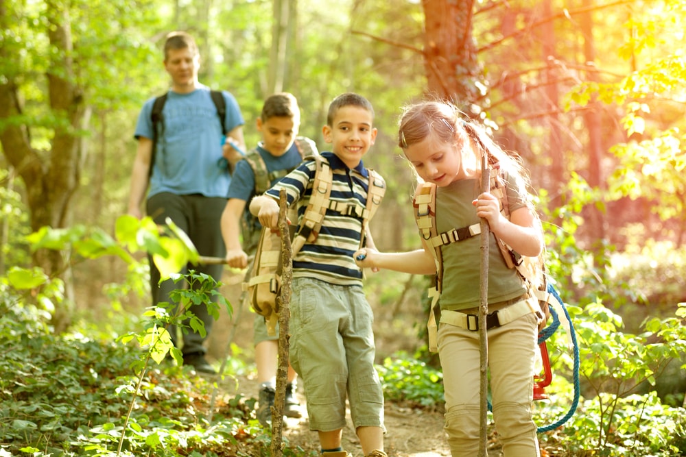 Family Hiking In The Woods