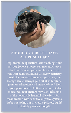 This is a box out of about pet acupuncture