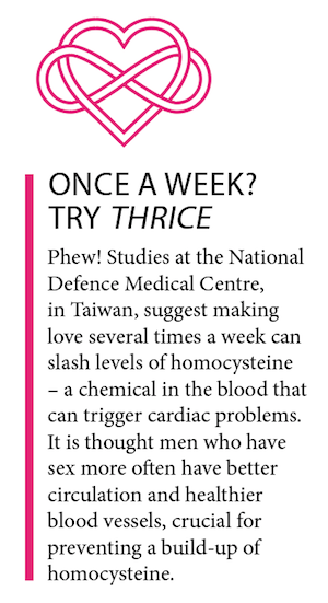Box out of research that's found having sex several times a week can be good for circulation, healthier blood vessels and prevents the build up of homocysteine