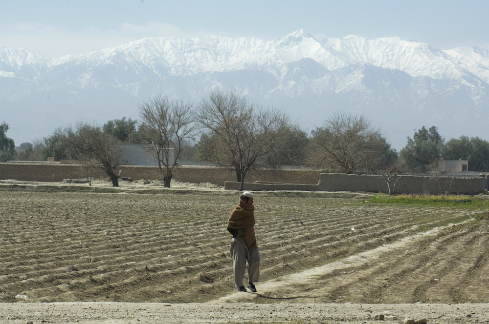 Plant for Peace farmer in Afghanistan