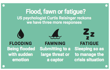 <Flood, fawn or fatigue