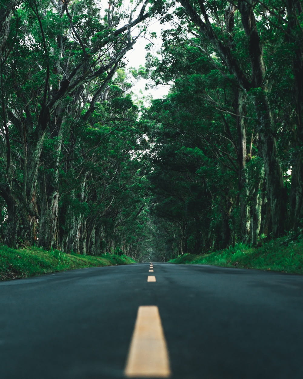 90 Day Happiful Challenge