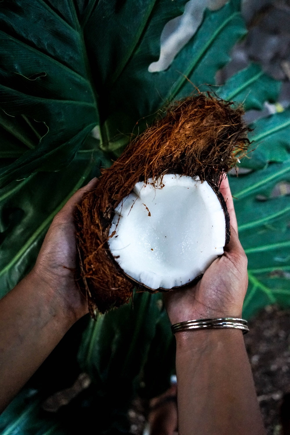 coconut oil