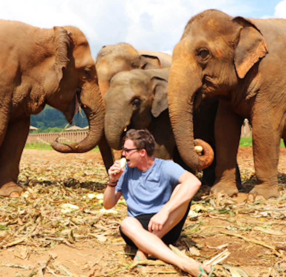 Jordan and an elephant