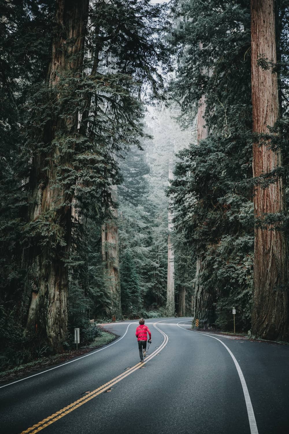 running through woods